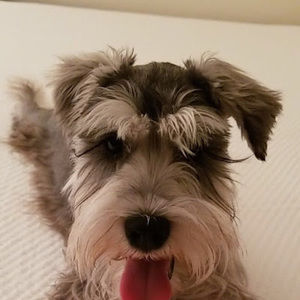 Meet your Posher, Kou